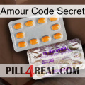 Love Secret Code new12